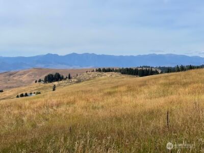 111 TBD Davies Road , Oroville, WA 98844 - Photo 7