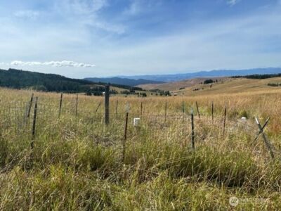 111 TBD Davies Road , Oroville, WA 98844 - Photo 8