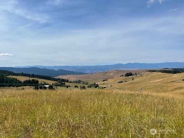 111 TBD Davies Road , Oroville, WA 98844