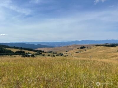 111 TBD Davies Road , Oroville, WA 98844 - Photo 9