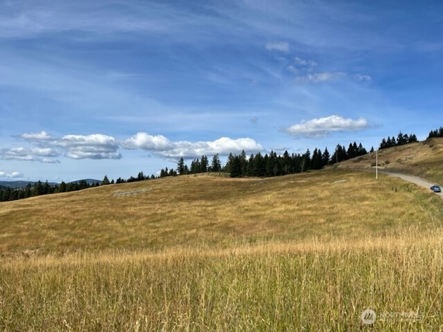 111 TBD Davies Road , Oroville, WA 98844