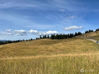 111 TBD Davies Road , Oroville, WA 98844 - Photo 10