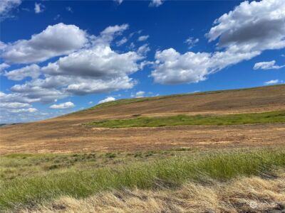 0 Powers Rd. , Dayton, WA 99328 - Photo 4