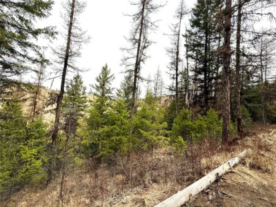 0 TBD Give Out Creek Road , Wauconda, WA 98859 - Photo 11