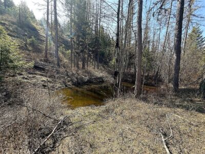 0 TBD Give Out Creek Road , Wauconda, WA 98859 - Photo 12