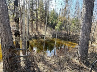 0 TBD Give Out Creek Road , Wauconda, WA 98859 - Photo 13