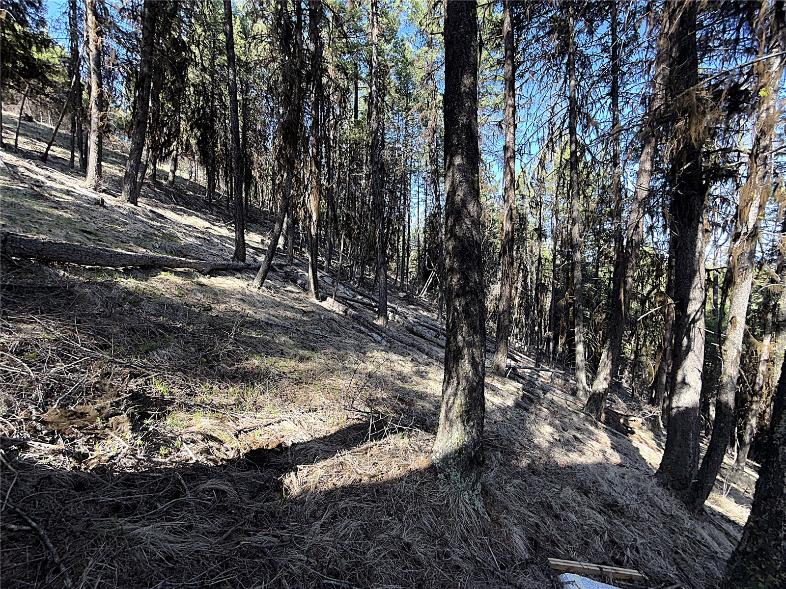 0 TBD Give Out Creek Road , Wauconda, WA 98859