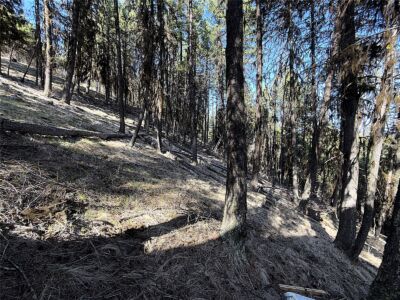 0 TBD Give Out Creek Road , Wauconda, WA 98859 - Photo 19