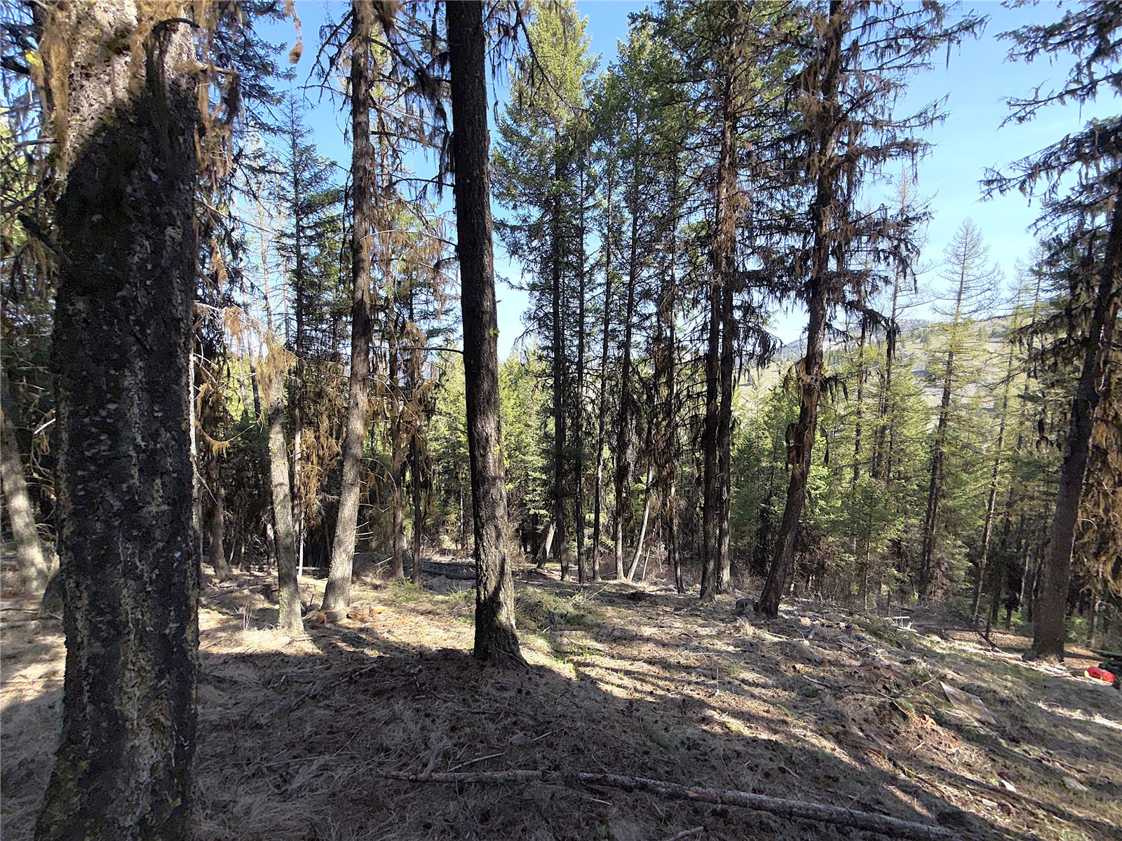 0 TBD Give Out Creek Road , Wauconda, WA 98859