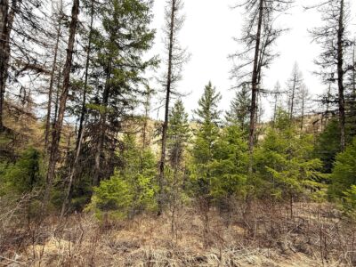 0 TBD Give Out Creek Road , Wauconda, WA 98859 - Photo 4