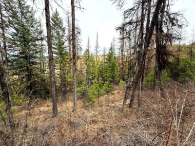 0 TBD Give Out Creek Road , Wauconda, WA 98859 - Photo 5