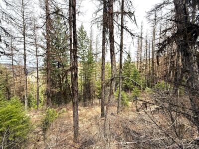 0 TBD Give Out Creek Road , Wauconda, WA 98859 - Photo 7