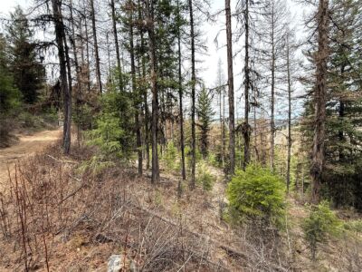 0 TBD Give Out Creek Road , Wauconda, WA 98859 - Photo 9