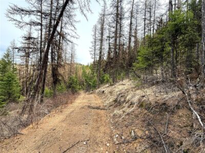 0 TBD Give Out Creek Road , Wauconda, WA 98859 - Photo 10