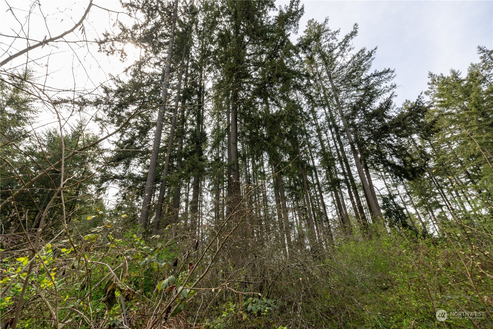 0 (Lot 2) 95th Avenue Ct E, Graham, WA 98338