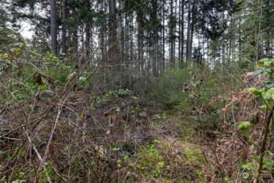 0 (Lot 3) 95th Avenue Ct E, Graham, WA 98338