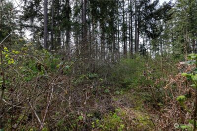 0 (Lot 3) 95th Avenue Ct E, Graham, WA 98338 - Photo 2