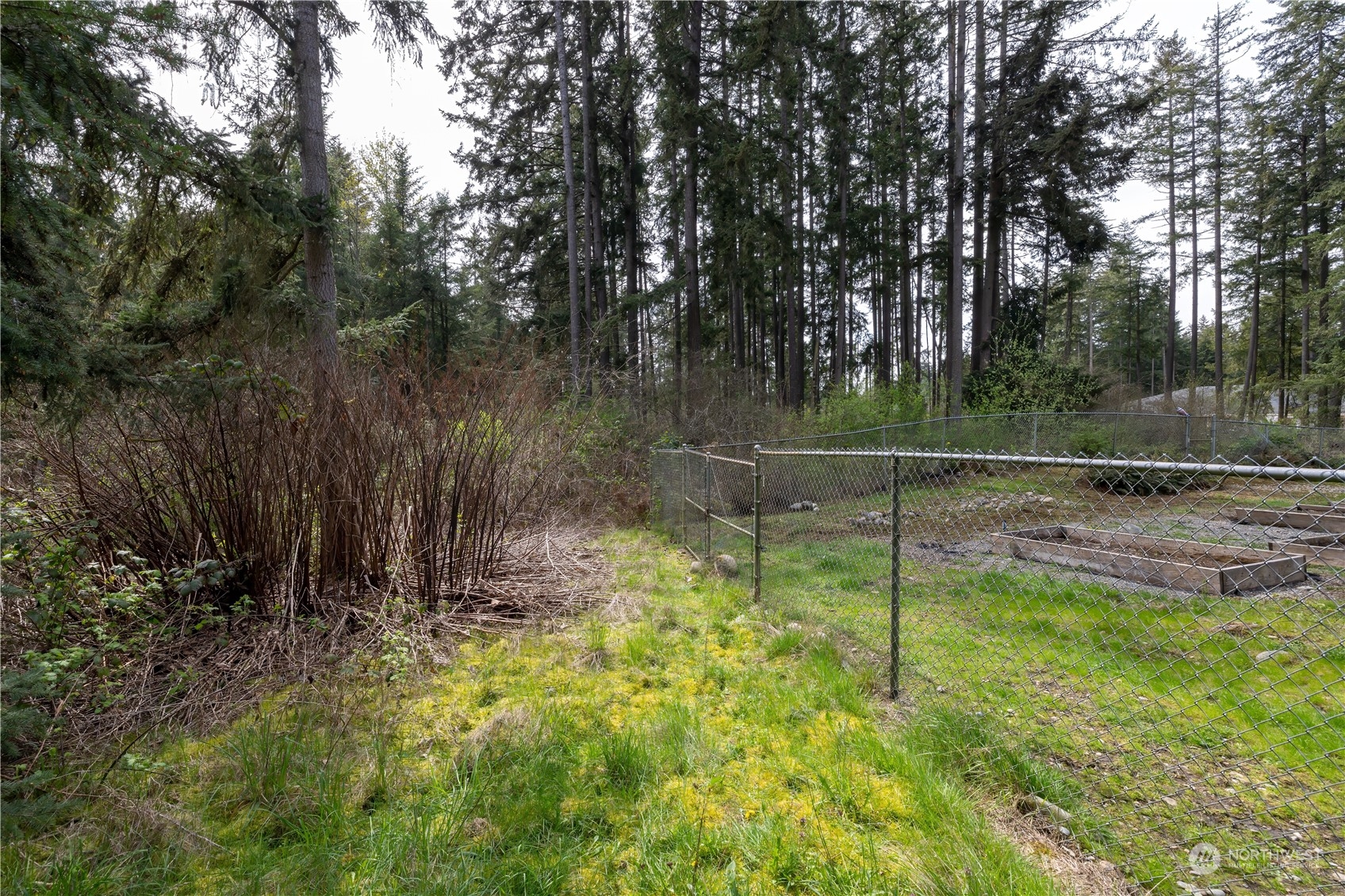 0 (Lot 3) 95th Avenue Ct E, Graham, WA 98338