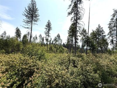 0 Lot 1 Rockabye Lane , Curlew, WA 99118 - Photo 2