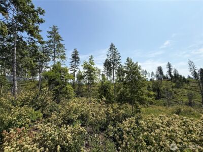 0 Lot 1 Rockabye Lane , Curlew, WA 99118 - Photo 4