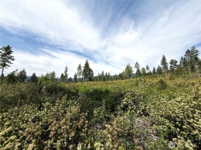 0 Lot 1 Rockabye Lane , Curlew, WA 99118 - Photo 6