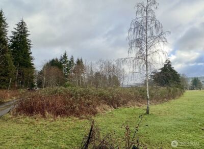 9999 Merchant Road , Forks, WA 98331 - Photo 4