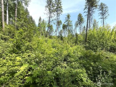 0 Lot 2 Rockabye Lane , Curlew, WA 99118 - Photo 4