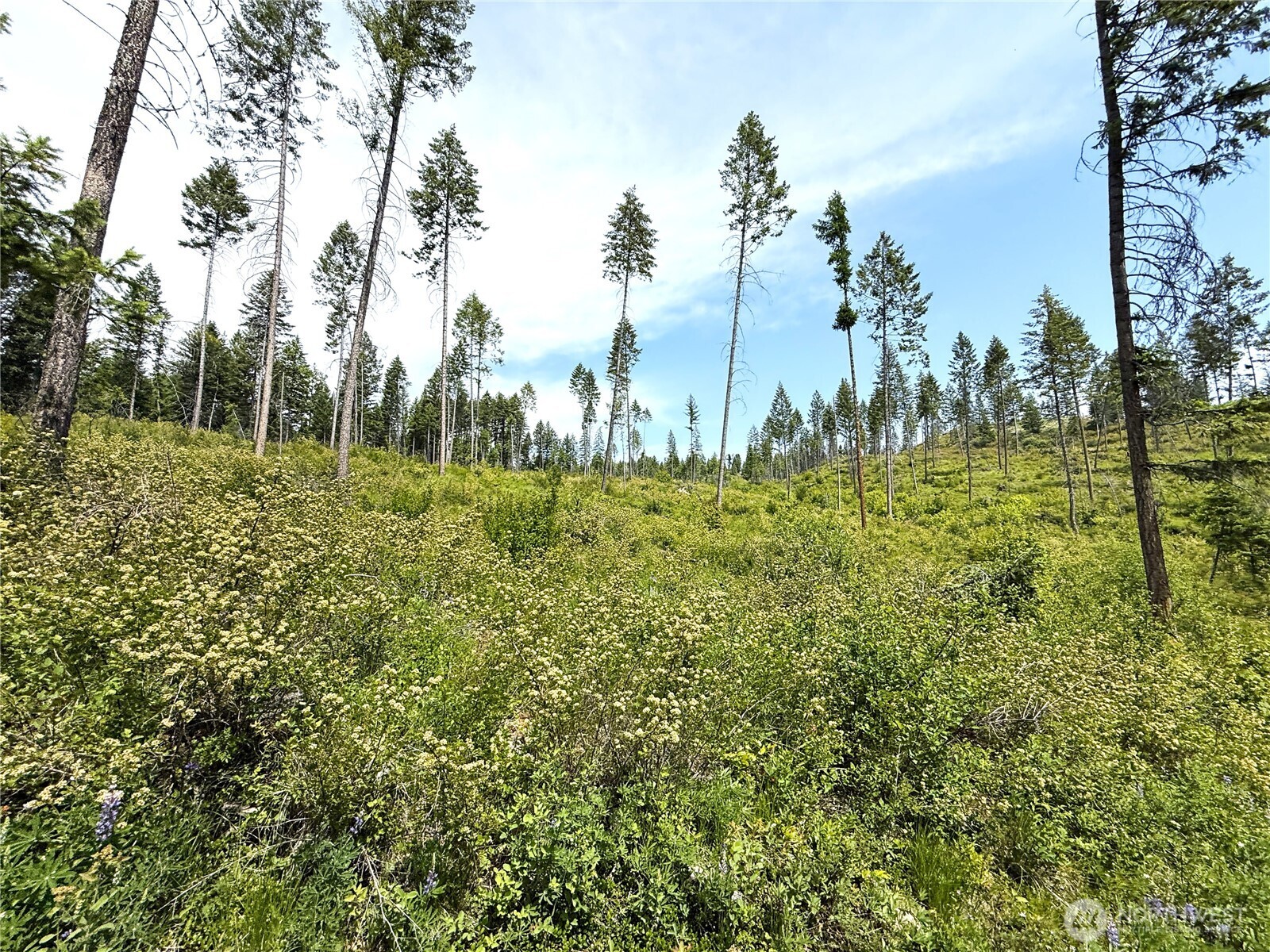 0 Lot 2 Rockabye Lane , Curlew, WA 99118