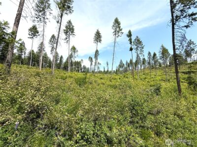 0 Lot 2 Rockabye Lane , Curlew, WA 99118 - Photo 7