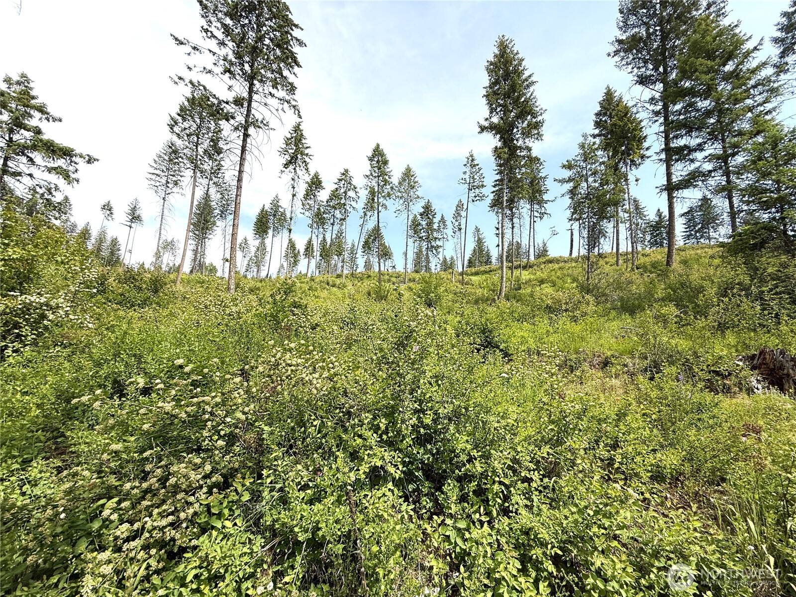 0 Lot 2 Rockabye Lane , Curlew, WA 99118