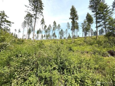 0 Lot 2 Rockabye Lane , Curlew, WA 99118 - Photo 8