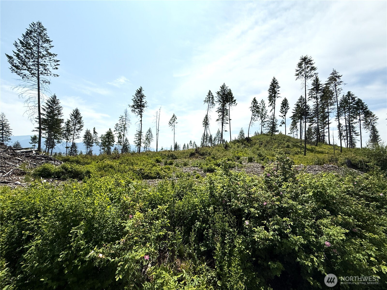 0 Lot 3 Rockabye Lane , Curlew, WA 99118