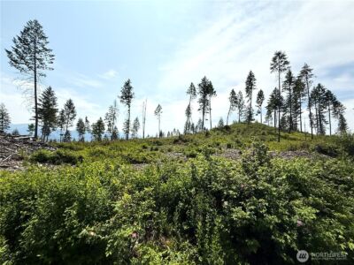 0 Lot 3 Rockabye Lane , Curlew, WA 99118 - Photo 4