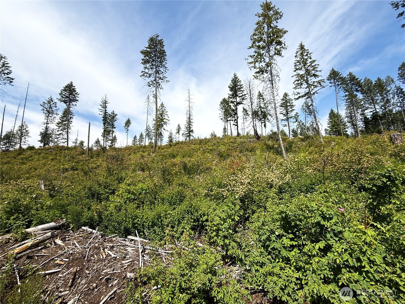 0 Lot 3 Rockabye Lane , Curlew, WA 99118