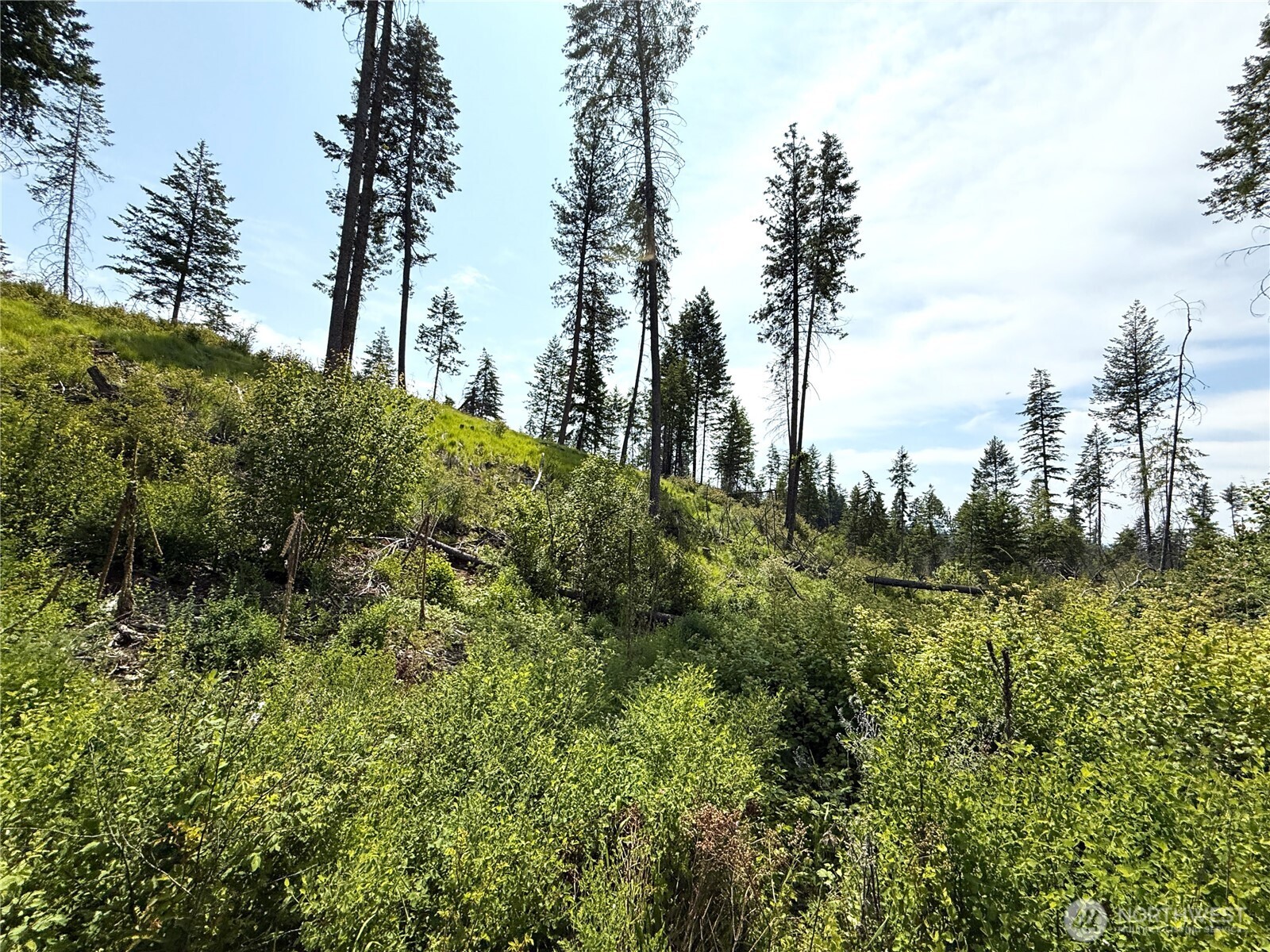 0 Lot 3 Rockabye Lane , Curlew, WA 99118