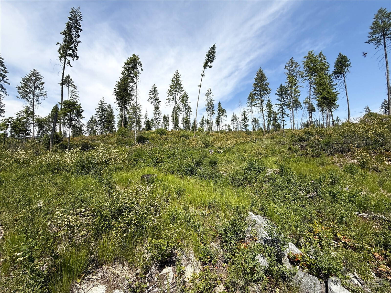 0 Lot 3 Rockabye Lane , Curlew, WA 99118