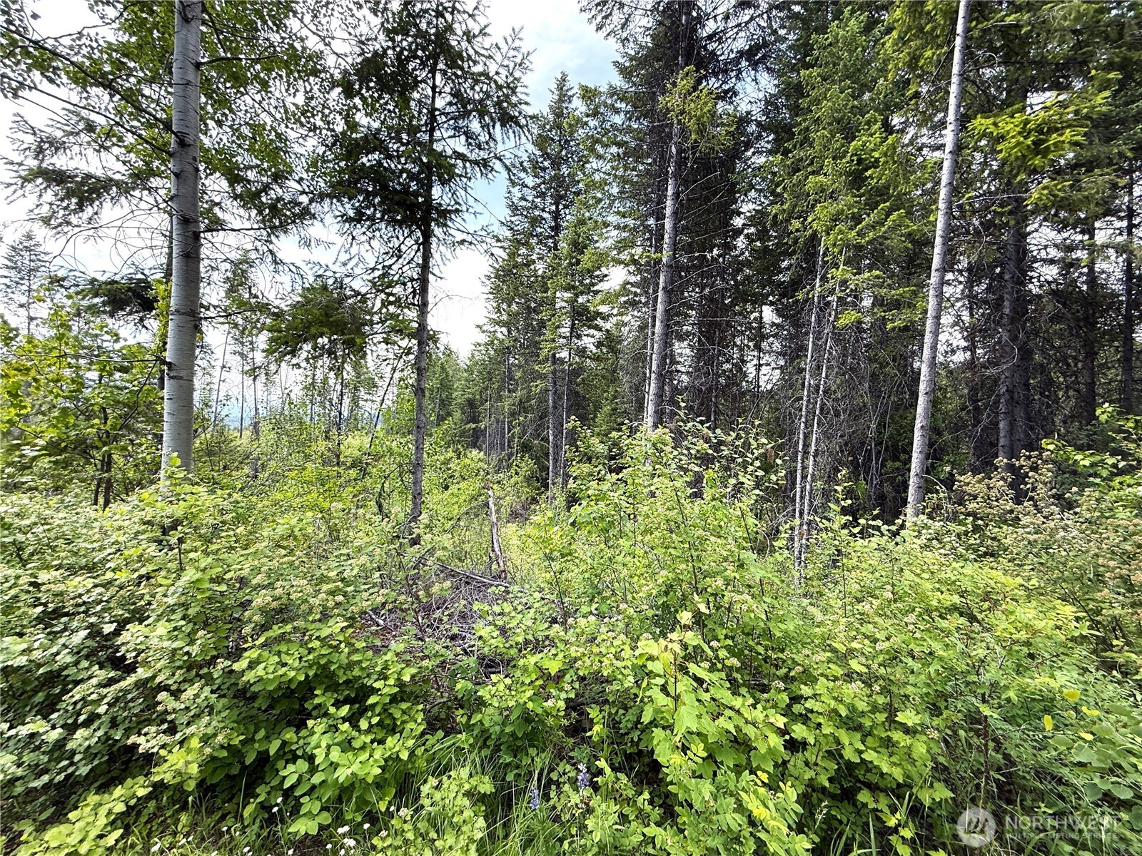 0 Lot 4 Rockabye Lane , Curlew, WA 99118