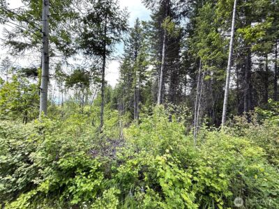 0 Lot 4 Rockabye Lane , Curlew, WA 99118 - Photo 4