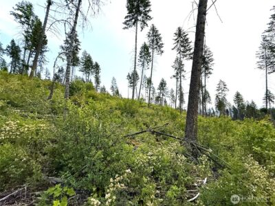 0 Lot 4 Rockabye Lane , Curlew, WA 99118 - Photo 5