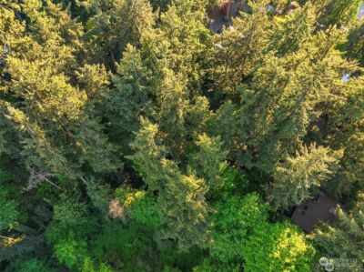 0 XXX 91st Avenue SE, Mercer Island, WA 98040 - Photo 5