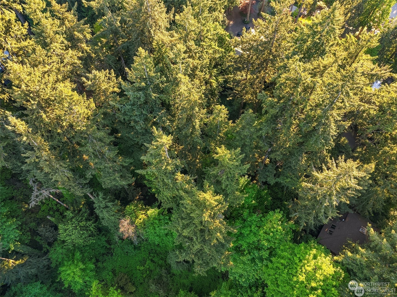 0 XX23 91 st Avenue SE, Mercer Island, WA 98040