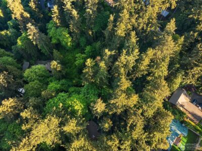 0 XX23 91 st Avenue SE, Mercer Island, WA 98040 - Photo 5