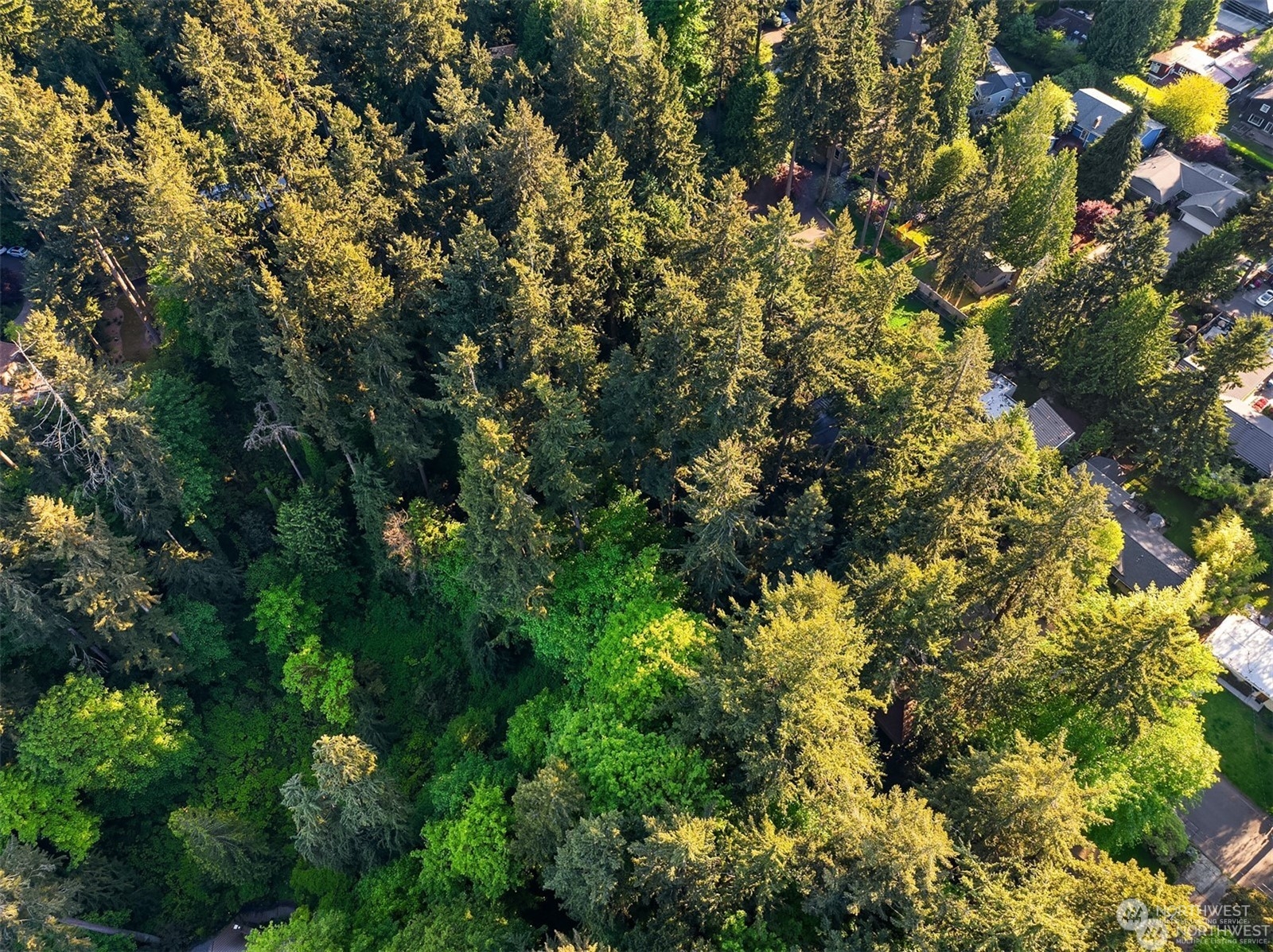 0 XX23 91 st Avenue SE, Mercer Island, WA 98040