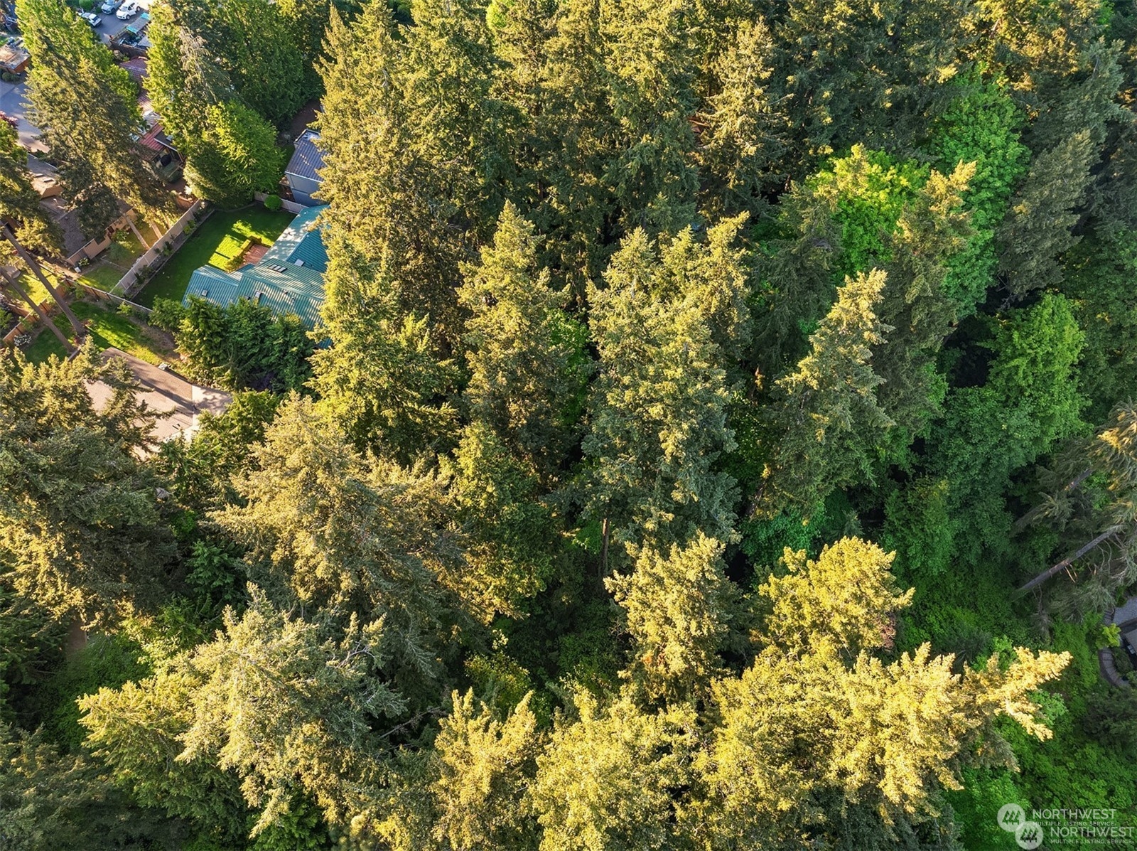 0 XX23 91 st Avenue SE, Mercer Island, WA 98040