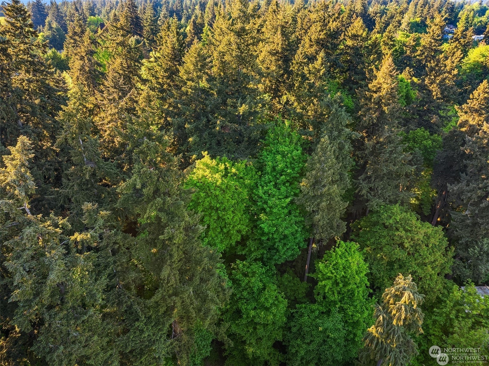 0 XX23 91 st Avenue SE, Mercer Island, WA 98040