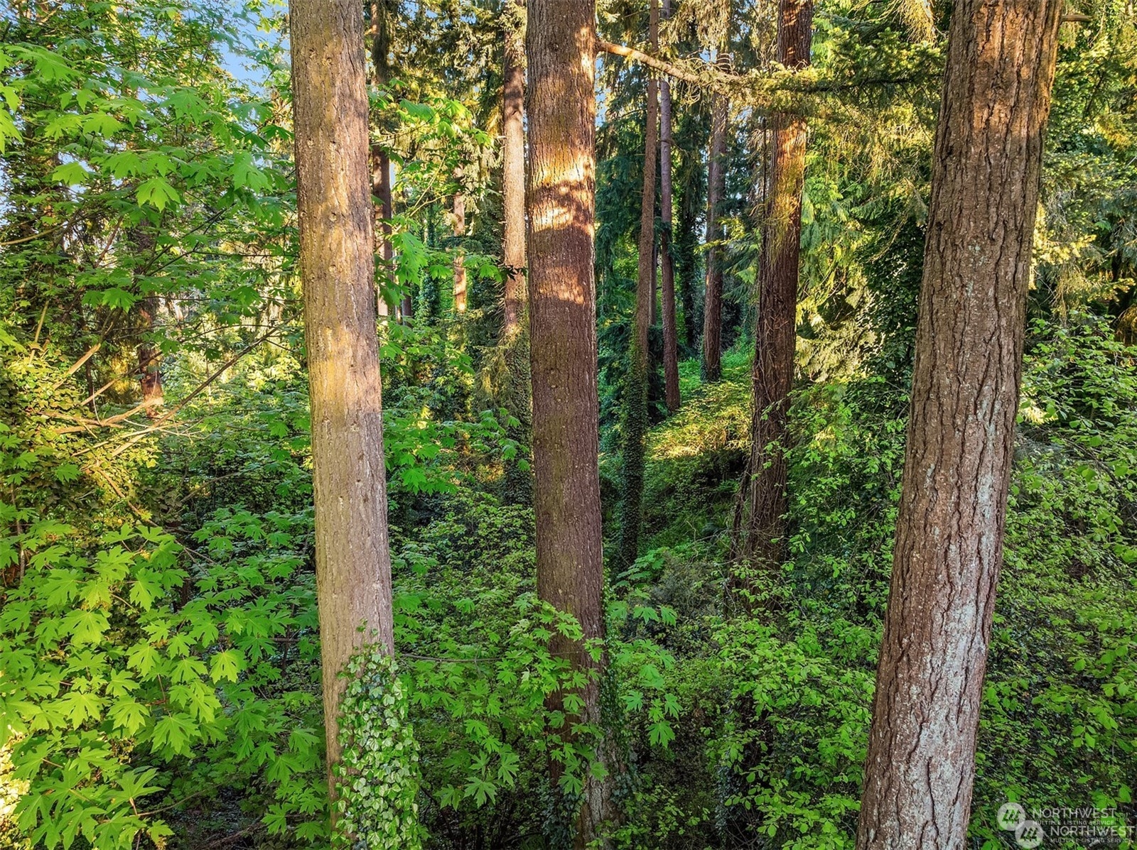 0 XX23 91 st Avenue SE, Mercer Island, WA 98040