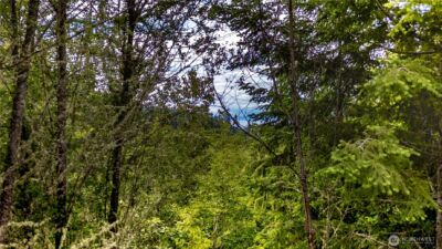 9999 S Old Mill Road , Port Angeles, WA 98362 - Photo 7