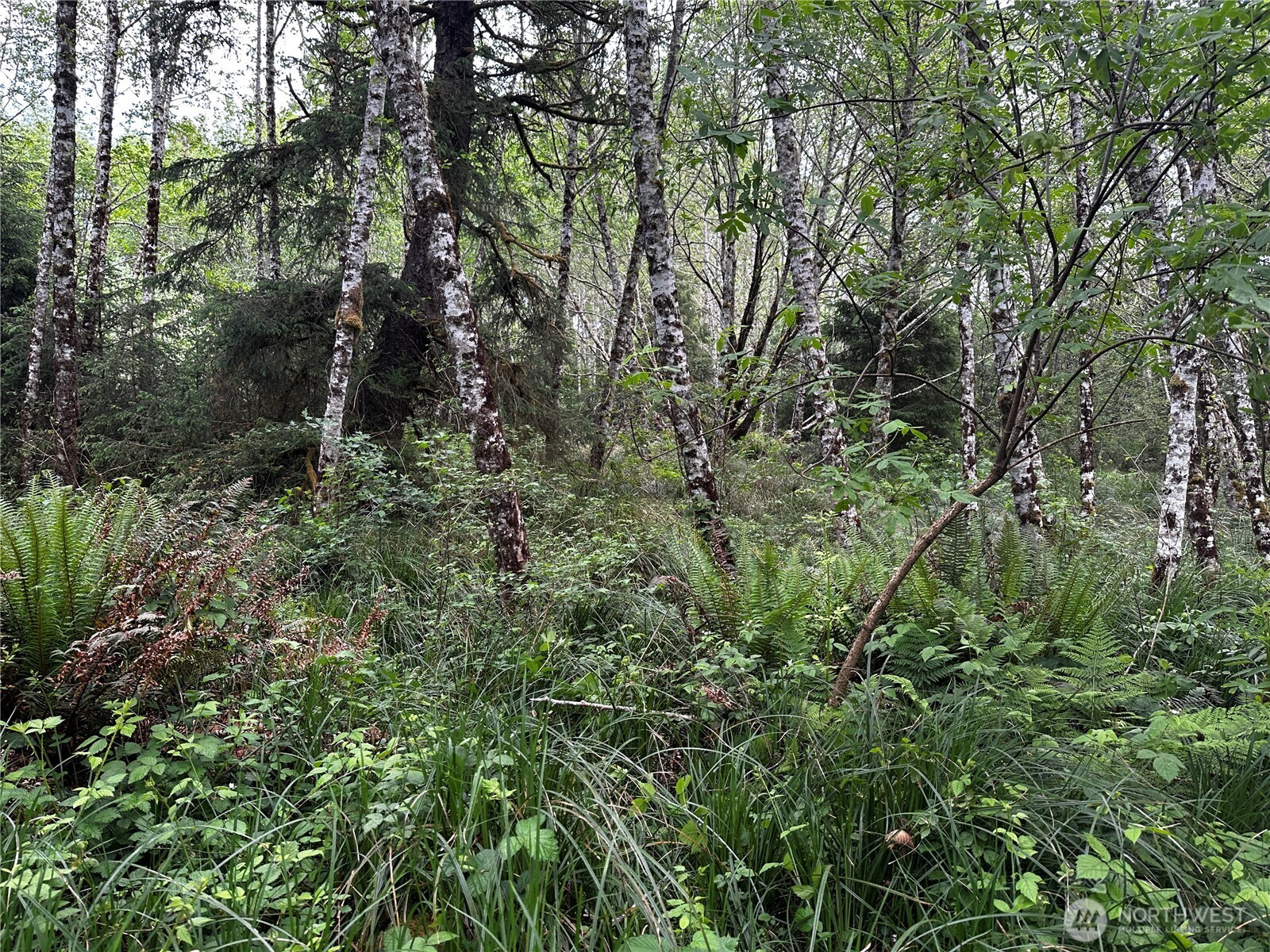 31010 Sandridge Road , Oysterville, WA 98640