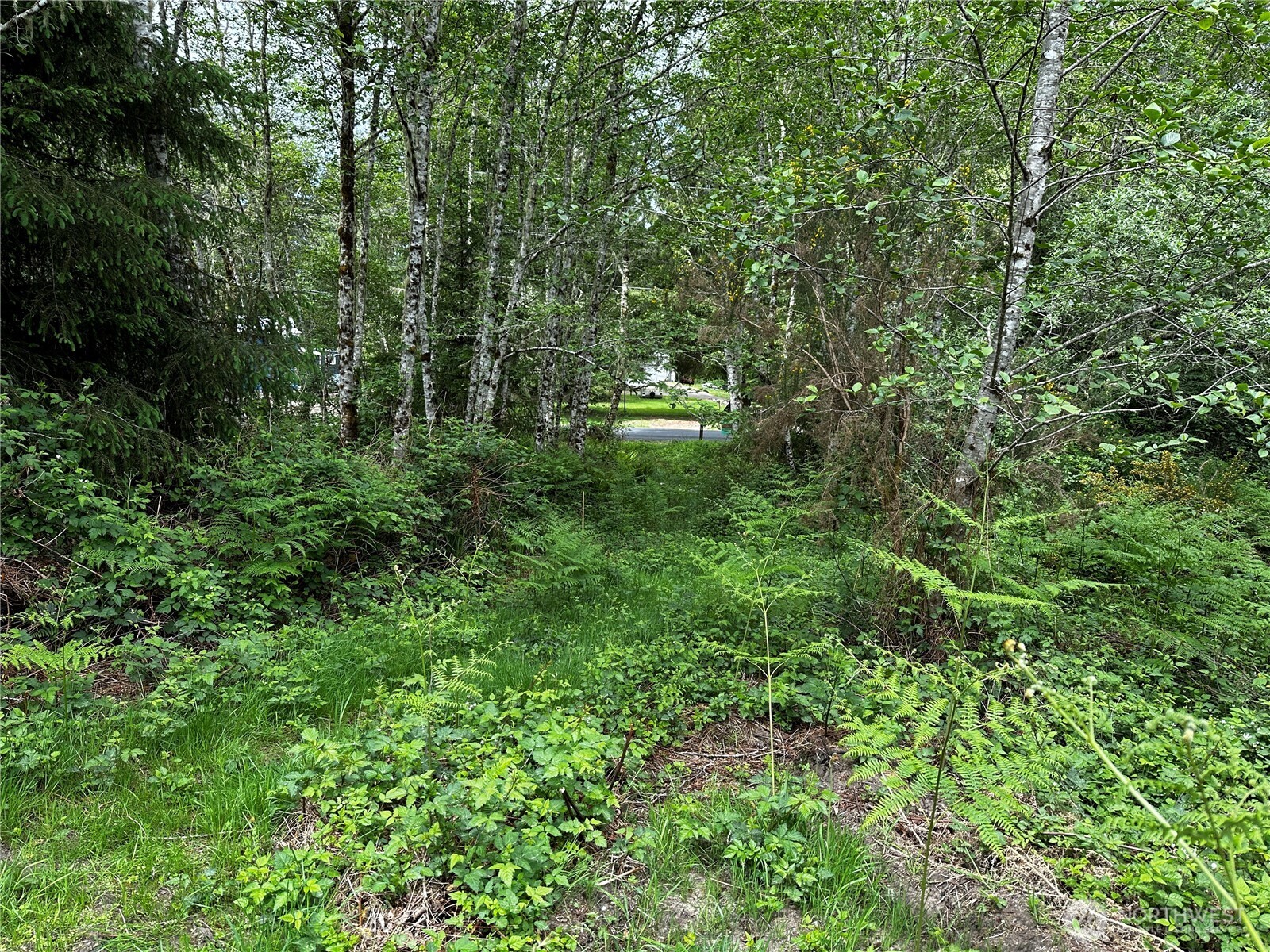 31104 Sandridge Road , Oysterville, WA 98640