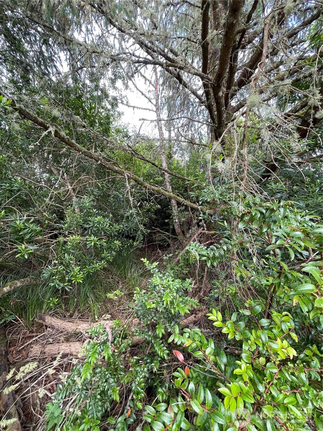 572 DUCK LAKE Drive NE, Ocean Shores, WA 98569